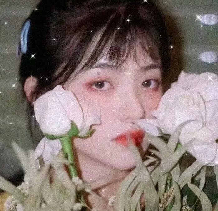 石头不会忘记